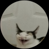 timew0lf