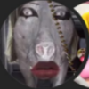 wefwefwef