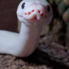 sssssolar